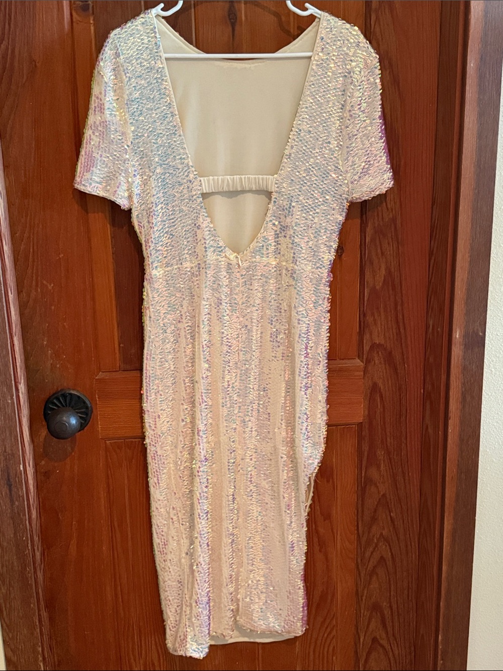 Iridescent Sequin Dress - Picture 5 of 5
